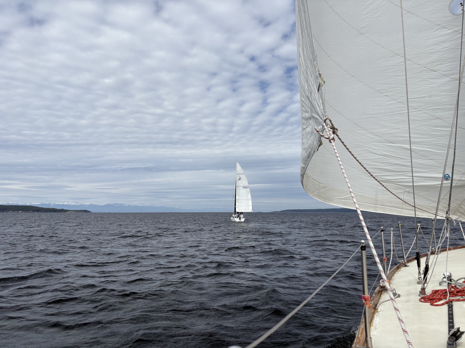 Spring Series - Race 2025-05-25