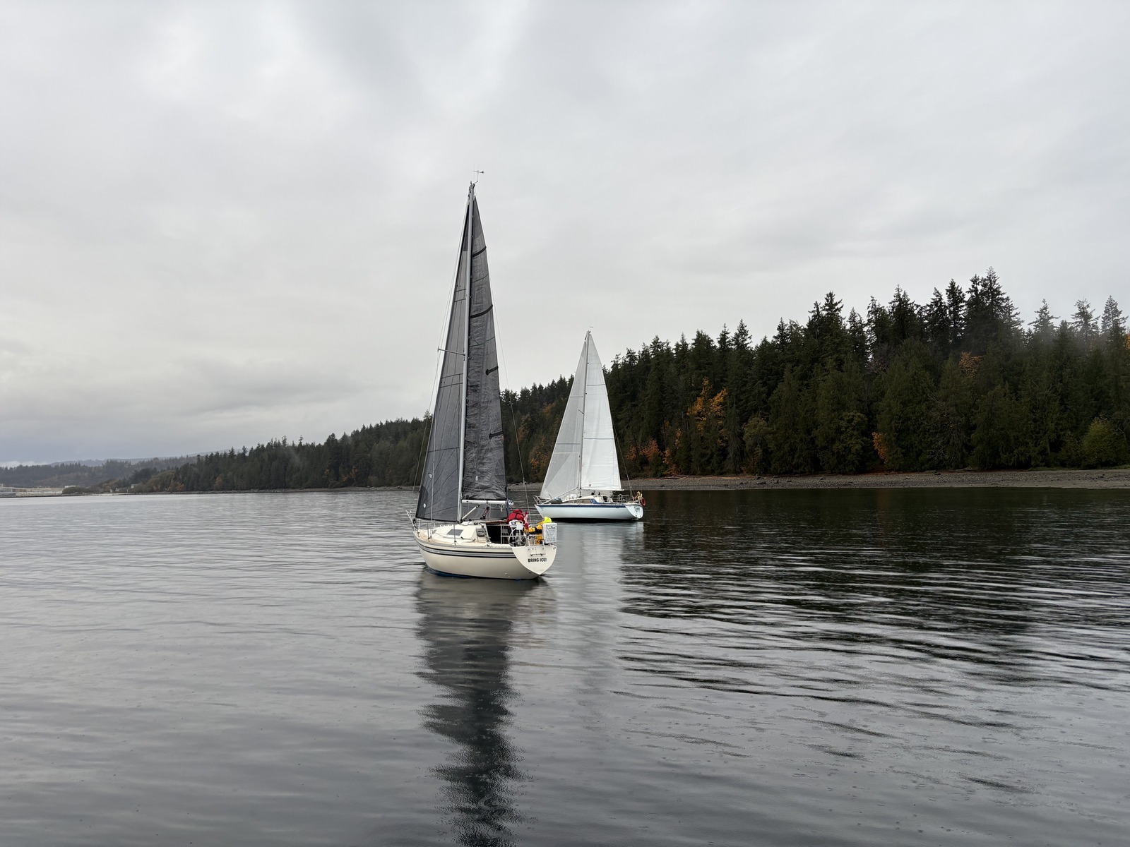 Fall Series - Shearwater Race 2025-11-01