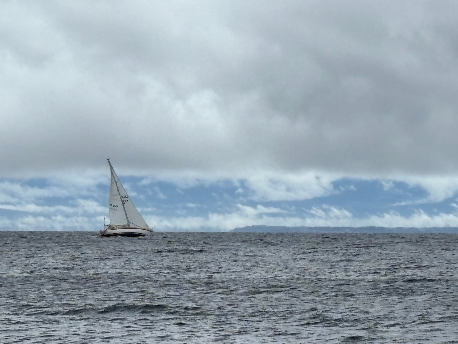 Seance battling the gusts.