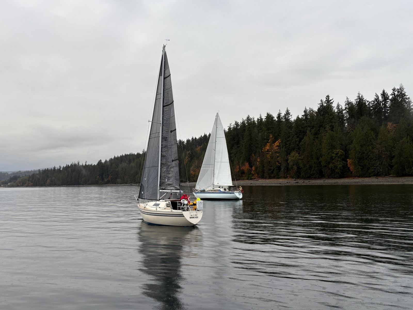 Bring Ice and Una in the calm before the storm.